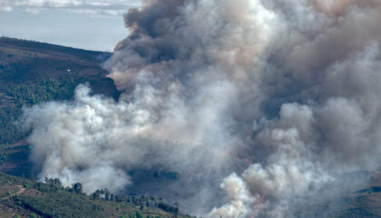 Incendi boschivi in Spagna e Francia