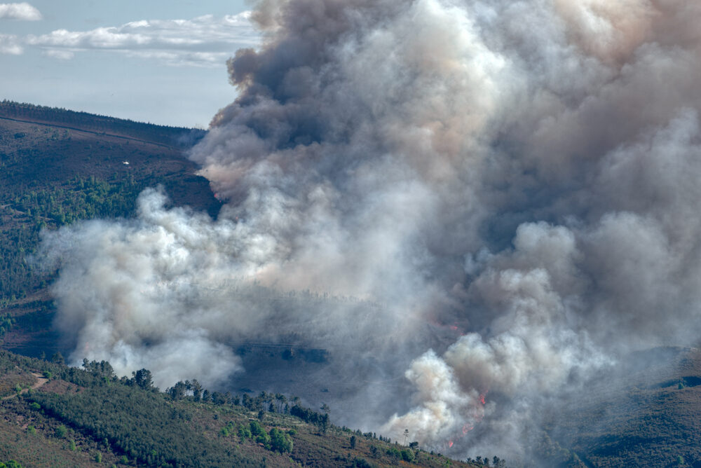 Incendio in Gironda: oltre 20.000 evacuati e 3.100 ettari in fiamme