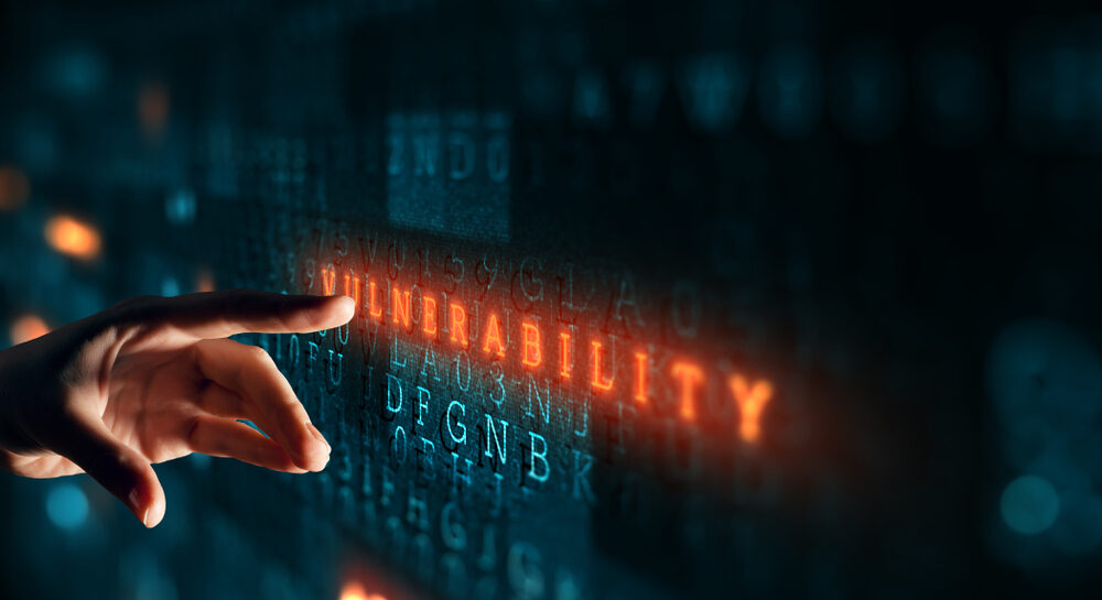 Analisi vulnerabilità fiscale USA