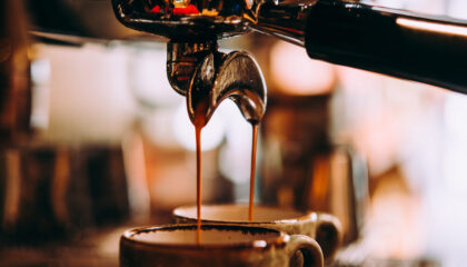 Breville Barista Express in offerta