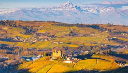 Ghiacciai del Monviso