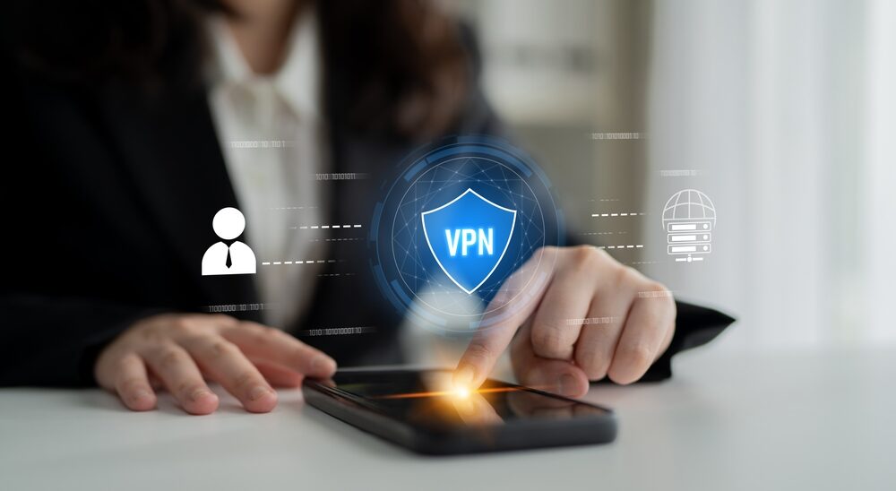 Manifestazione per la difesa delle VPN