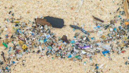 Emergenza plastica in Italia