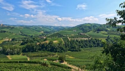 Sacchi Beer Fest 2026 a Cuneo