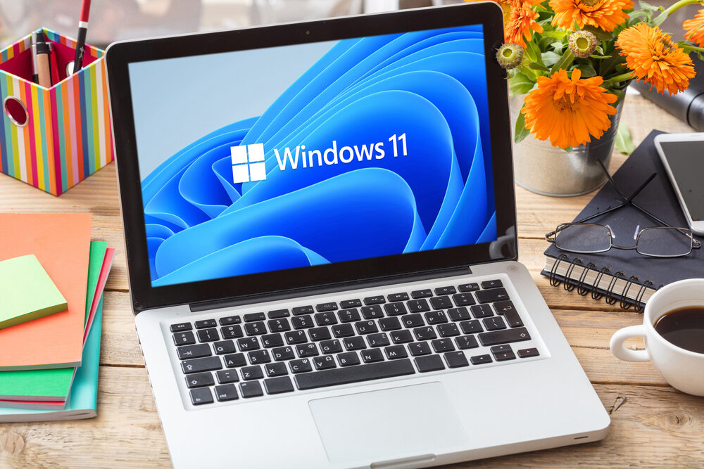 Grafico di installazione di Windows 11
