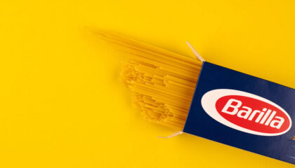 Pulizia del torrente Parma da parte dei dipendenti di Barilla e Legambiente
